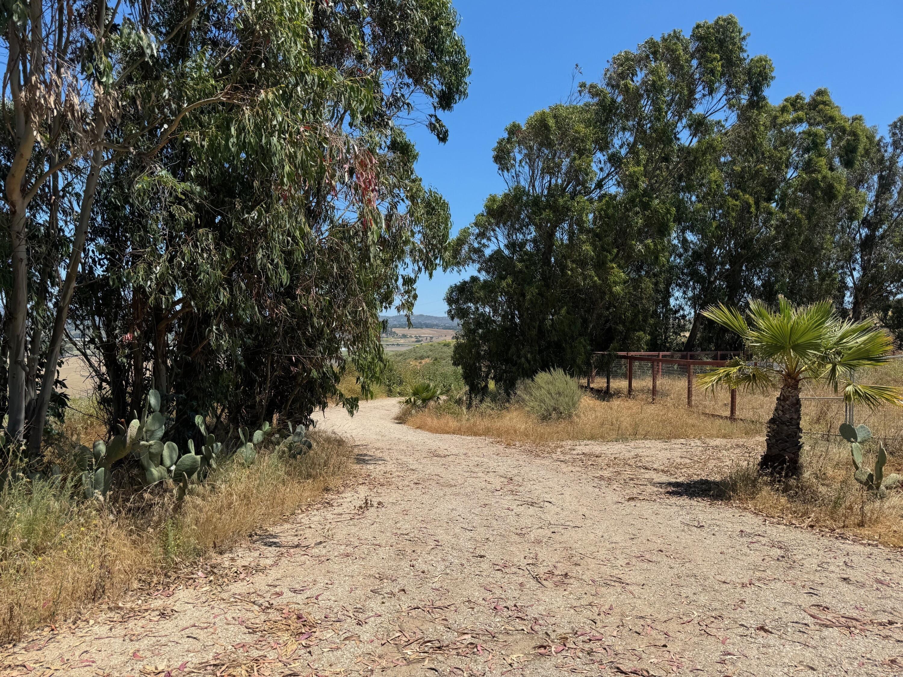 2140 Sweeney Road Lompoc, CA 93436 - Photo 51 of 63 Private Road down to Sweeney