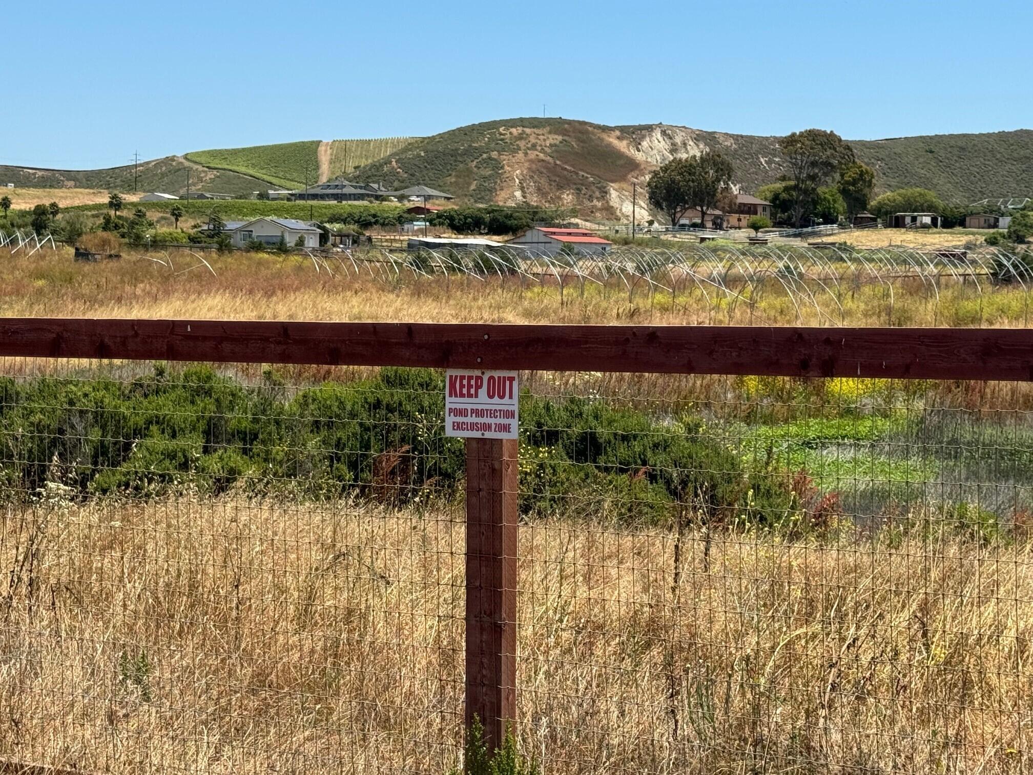 2140 Sweeney Road Lompoc, CA 93436 - Photo 58 of 63 Vineyards to the East