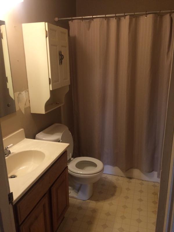 4906 Coster Road Knoxville, TN 37912 - Photo 14 of 20 main bath