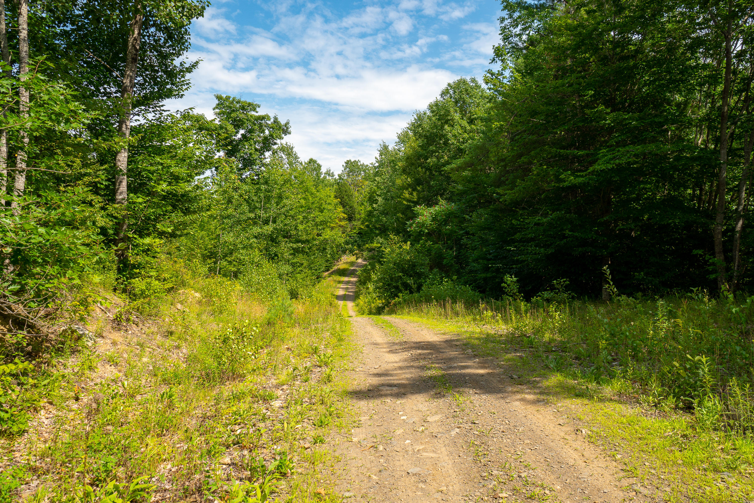 Map69-lot5 Dutton Road South China, ME 04358 - Photo 15 of 16 (28)_Land - China, ME(MAPS)