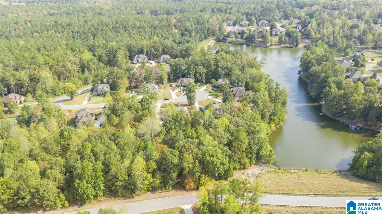 112 Fallow Circle Chelsea, AL 35043 - Photo 12 of 48
