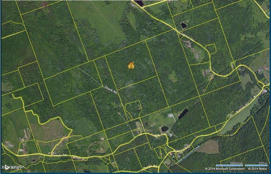 Shank Road Equinunk, PA 18417 - Photo 2 of 2
