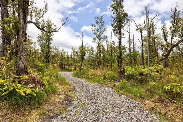 $219,000 | 11-2317 Kokokahi, Mountain View, HI 96771