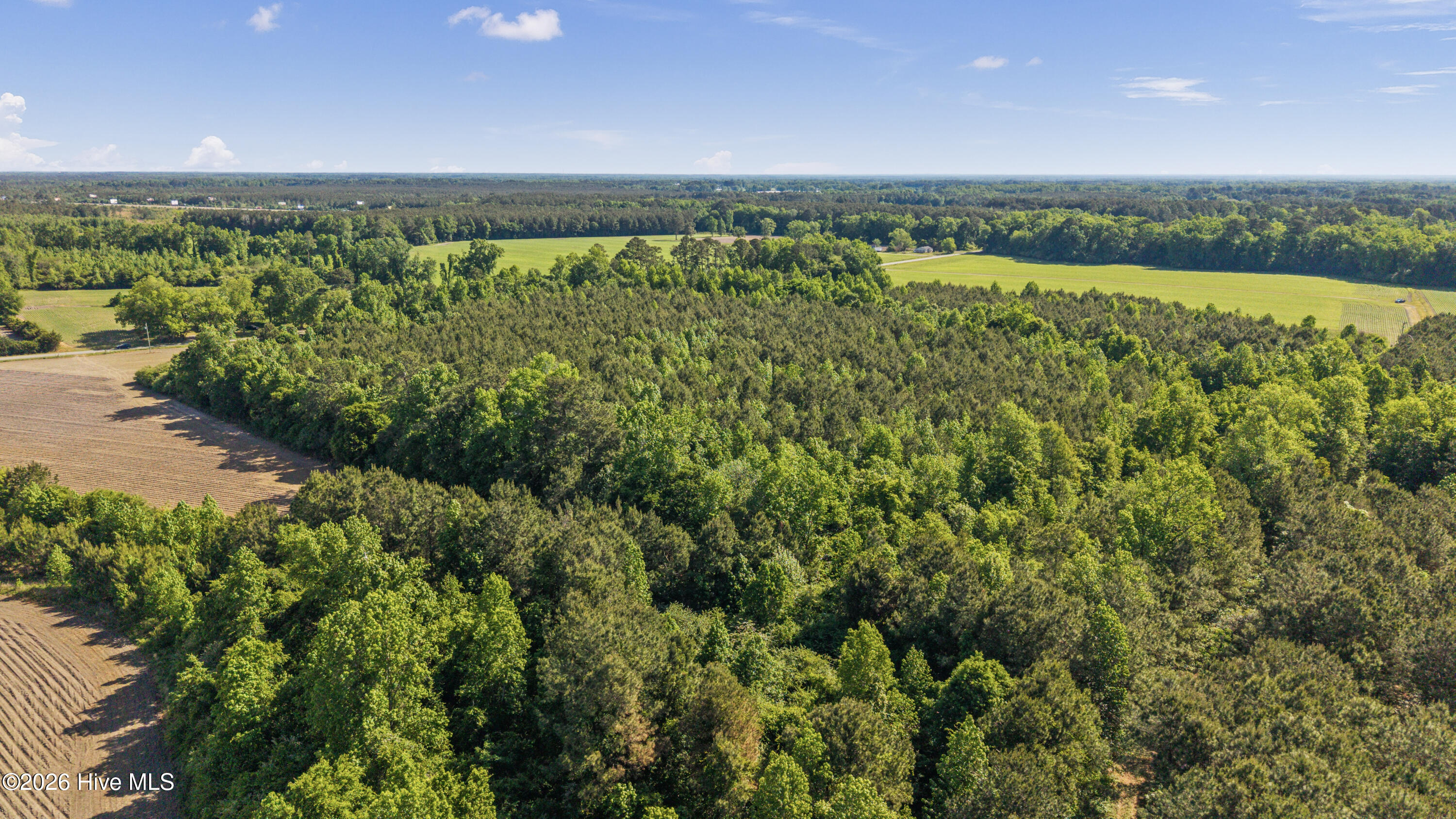 26-acres High School Road Teachey, NC 28464 - Photo 18 of 23 22-DJI_20260428095303_0089_D