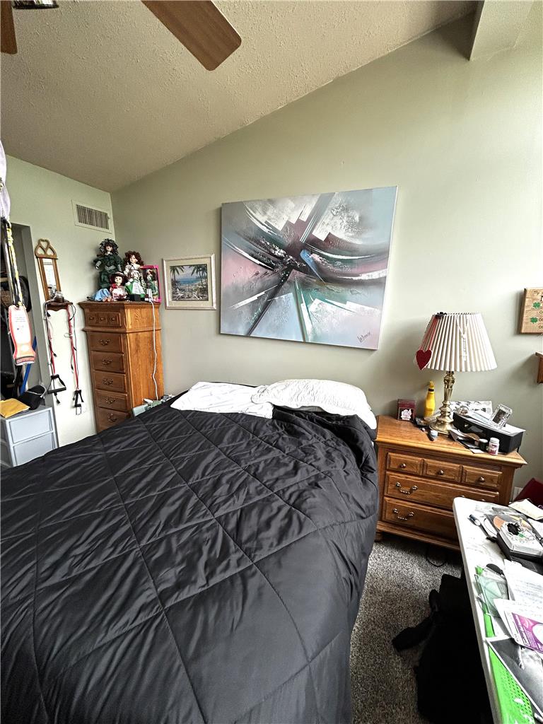 1214 Stanford Road Bethlehem, PA 18018 - Photo 51 of 58 A well-lit bedroom featuring a vaulted ceiling and soft carpeting underfoot.
