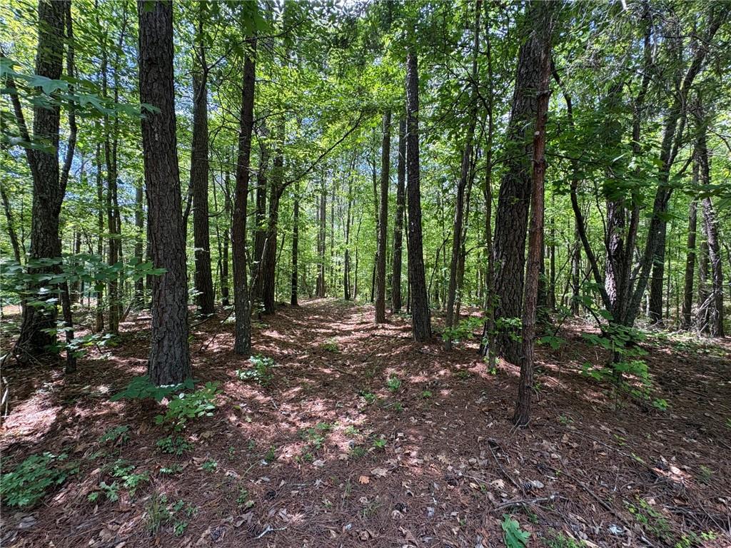 1933 N Highway Dallas, GA 30157 - Photo 33 of 40