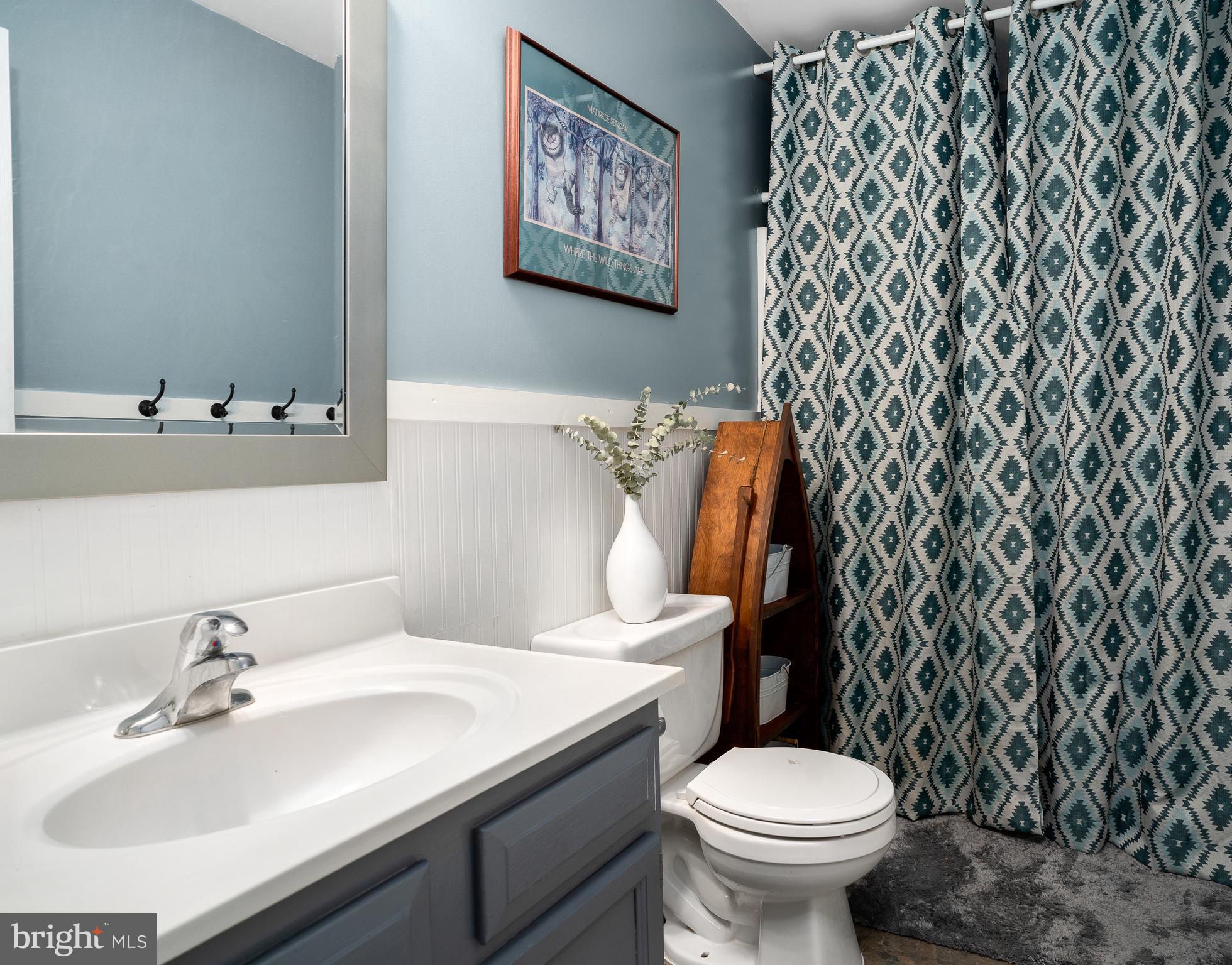 527 High Knob Road Front Royal, VA 22630 - Photo 17 of 31 Main floor Bathroom