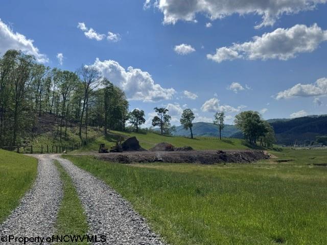 Tbd Shaffers Run Road Mill Creek, WV 26280 - Photo 27 of 43 Gallery Image 27