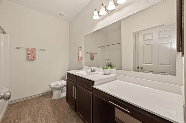 a bathroom with a sink a toilet and vanity