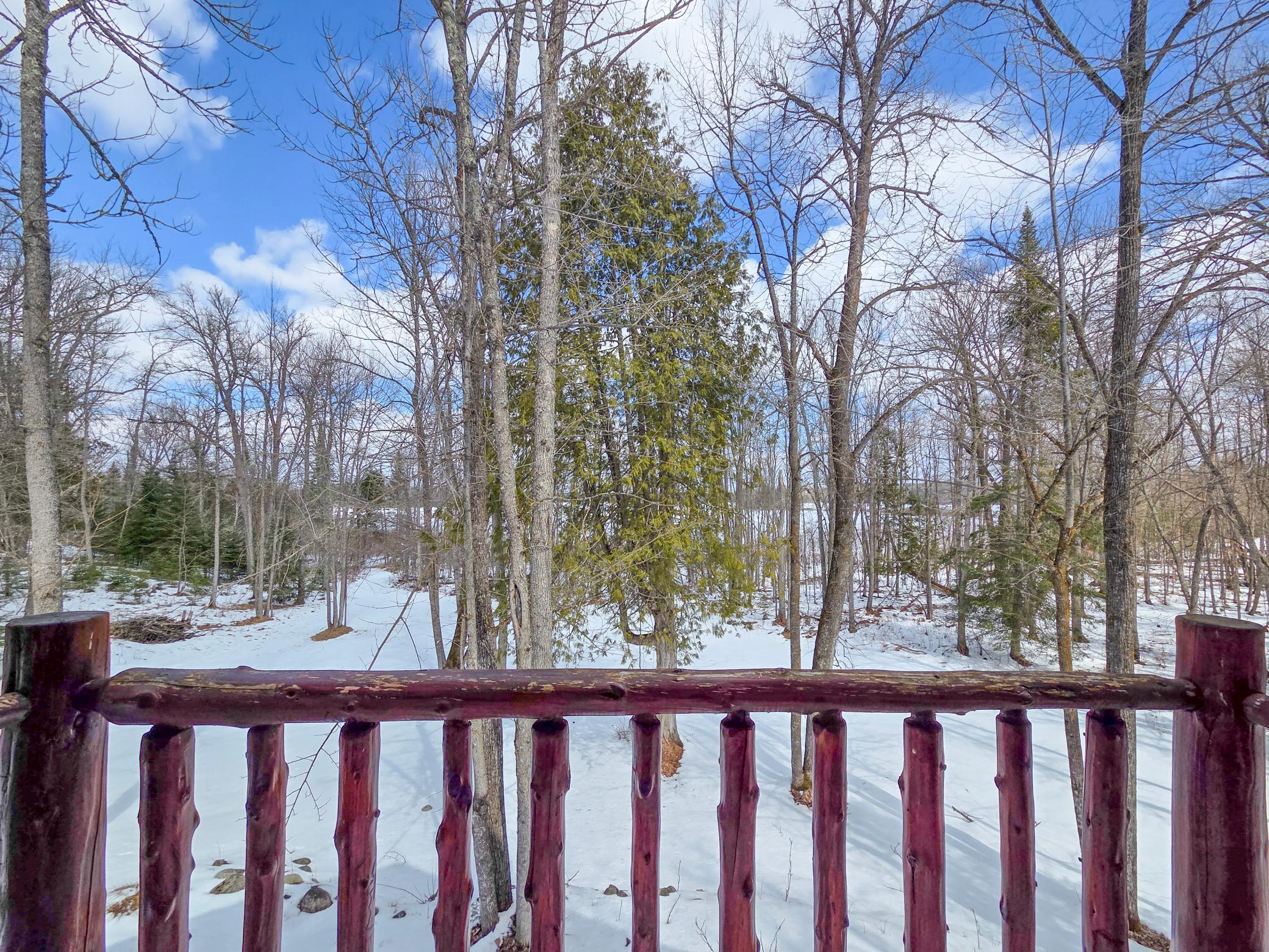 38504 Grave Lake Road Deer River, MN 56636 - Photo 22 of 36