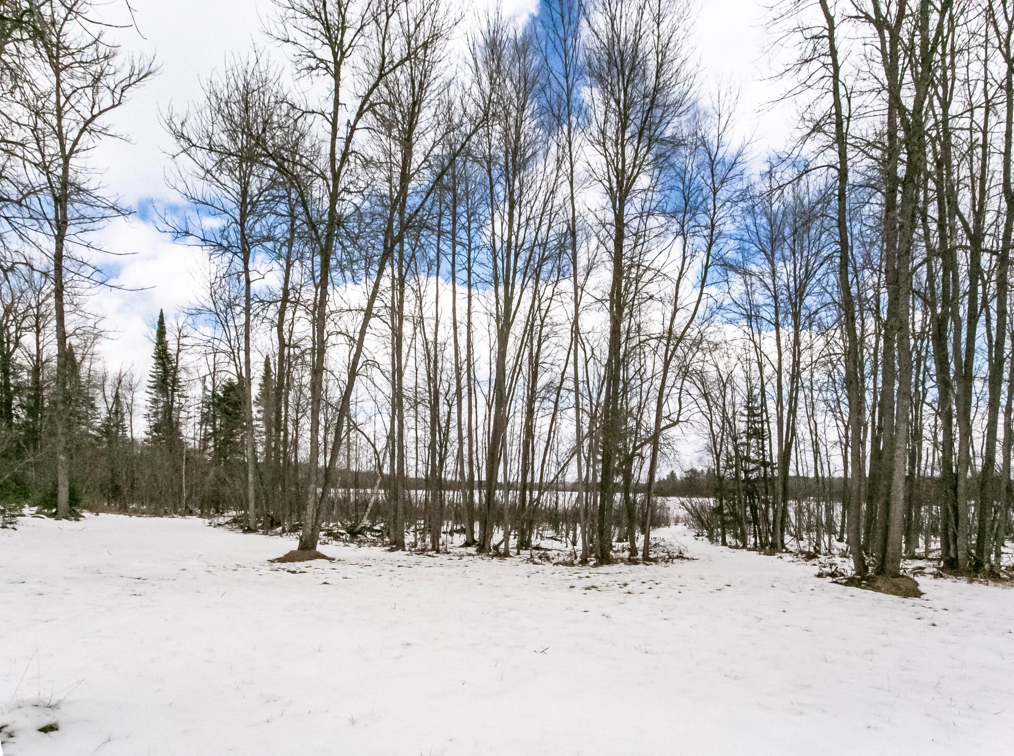 38504 Grave Lake Road Deer River, MN 56636 - Photo 32 of 36