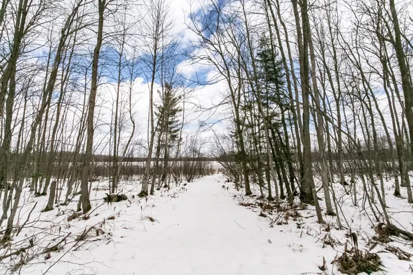$375,000 | 38504 Grave Lake Road, Deer River, MN 56636
