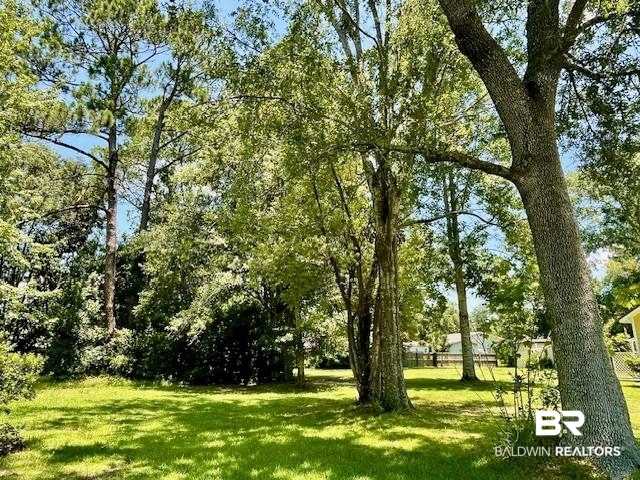 0 West Carolyn Avenue Foley, AL 36535 - Photo 8 of 18