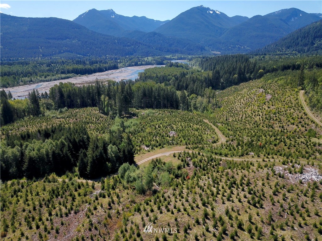 -off Off Craig (lower) Road Packwood, WA 98361 - Photo 1 of 6 Gallery Image 1