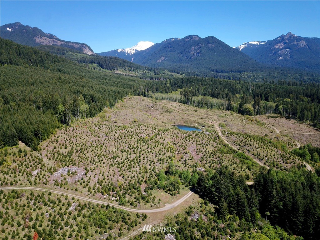 -off Off Craig (lower) Road Packwood, WA 98361 - Photo 2 of 6 Gallery Image 2