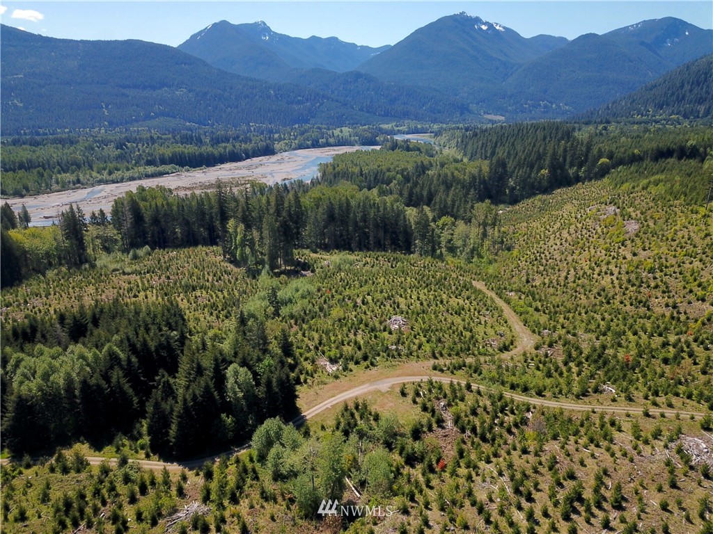 -off Off Craig (lower) Road Packwood, WA 98361 - Photo 3 of 6 Gallery Image 3