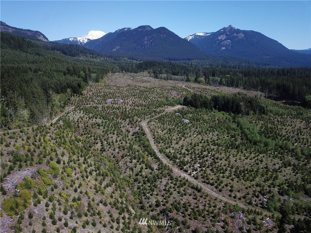 -off Off Craig (lower) Road Packwood, WA 98361 - Photo 4 of 6 Gallery Image 4