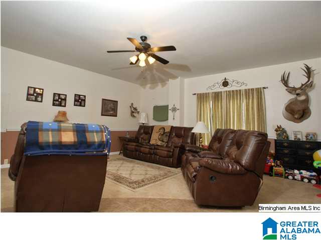 258 Mill Ridge Lane Pell City, AL 35128 - Photo 9 of 31