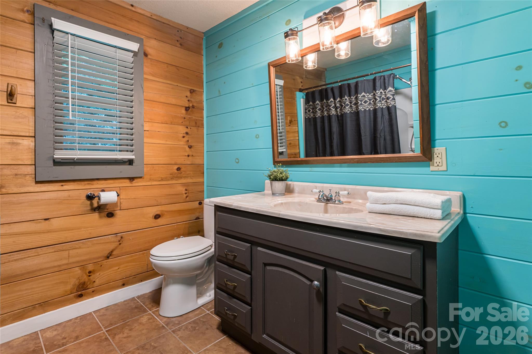 4035 Bald Creek Road Clyde, NC 28721 - Photo 17 of 43 a bathroom with a sink a toilet and mirror