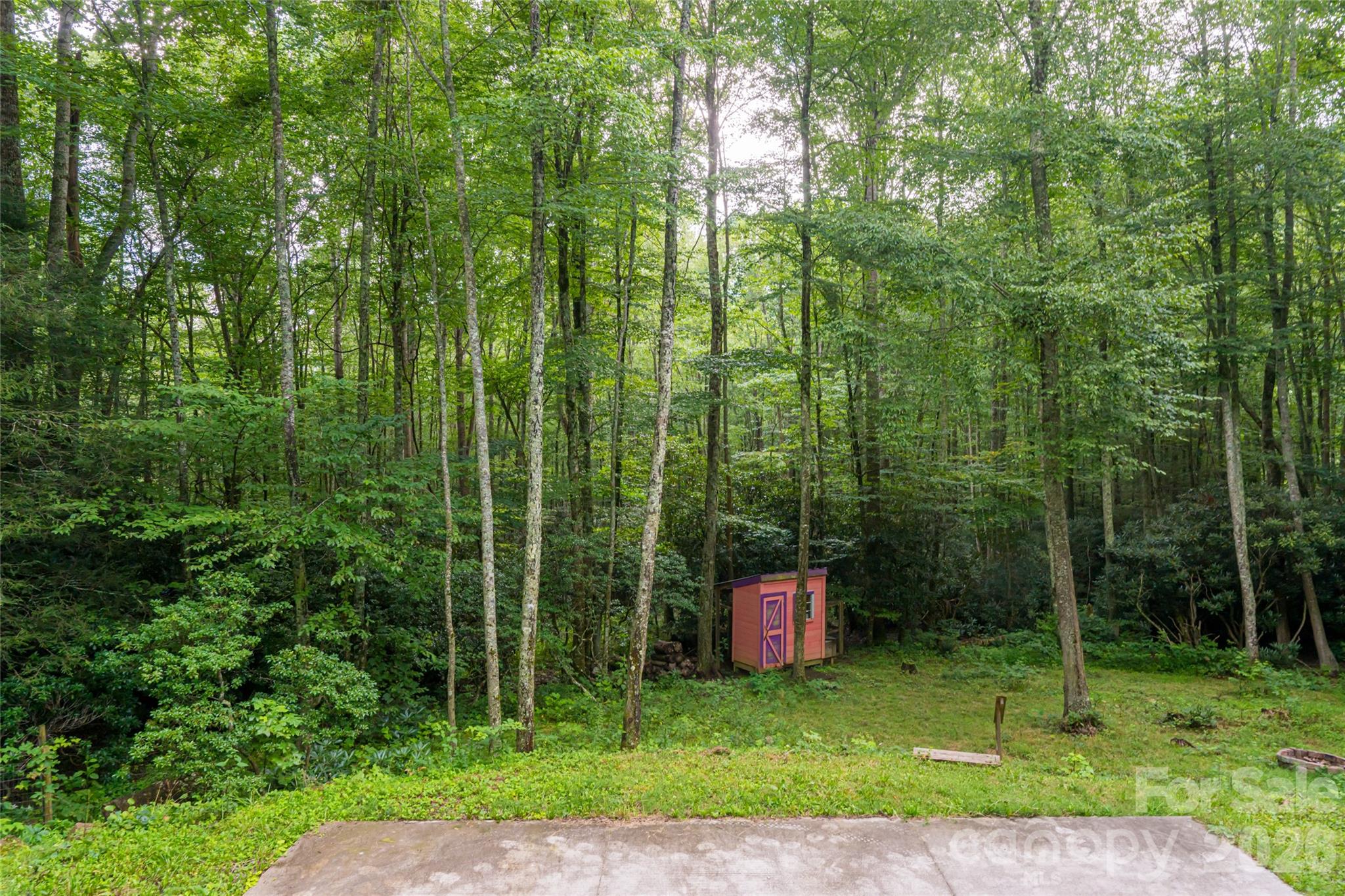 4035 Bald Creek Road Clyde, NC 28721 - Photo 38 of 43 a view of a back yard
