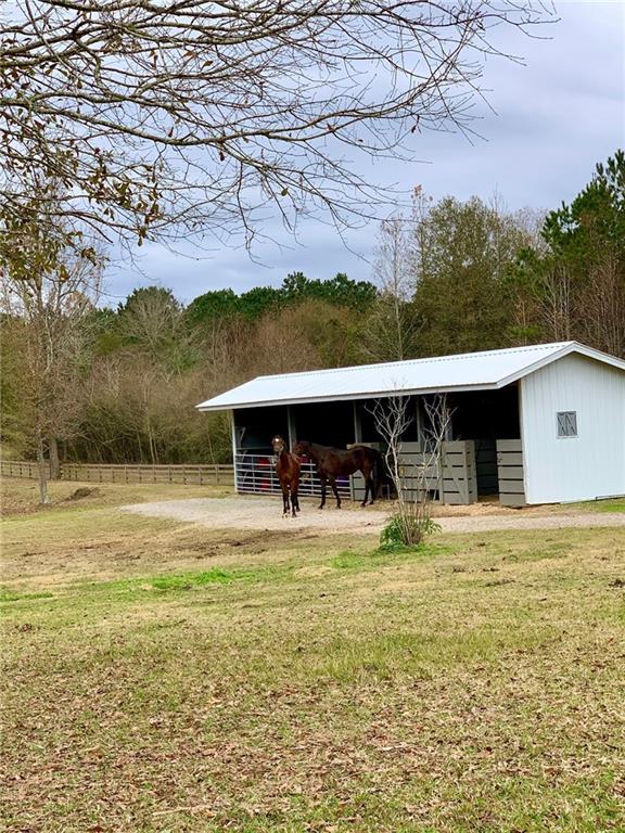 11276 Damiano Road Folsom, LA 70437 - Photo 16 of 21 Gallery Image 16