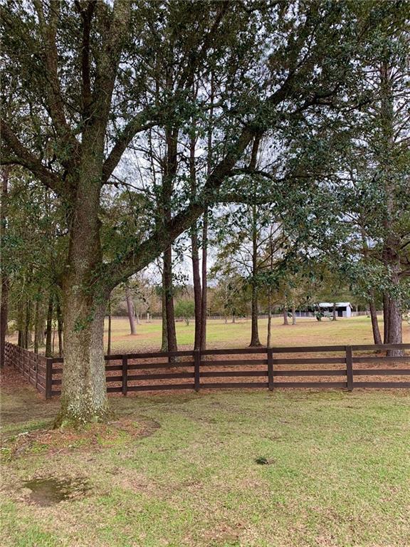 11276 Damiano Road Folsom, LA 70437 - Photo 17 of 21 Gallery Image 17
