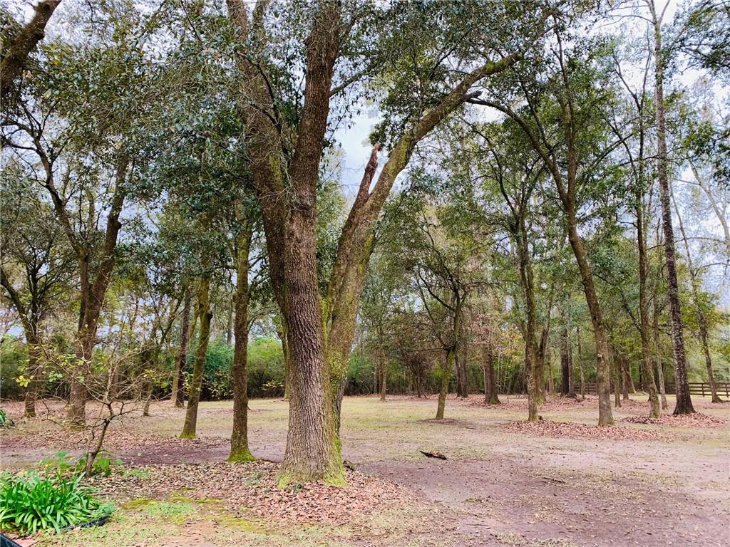 11276 Damiano Road Folsom, LA 70437 - Photo 18 of 21 Gallery Image 18