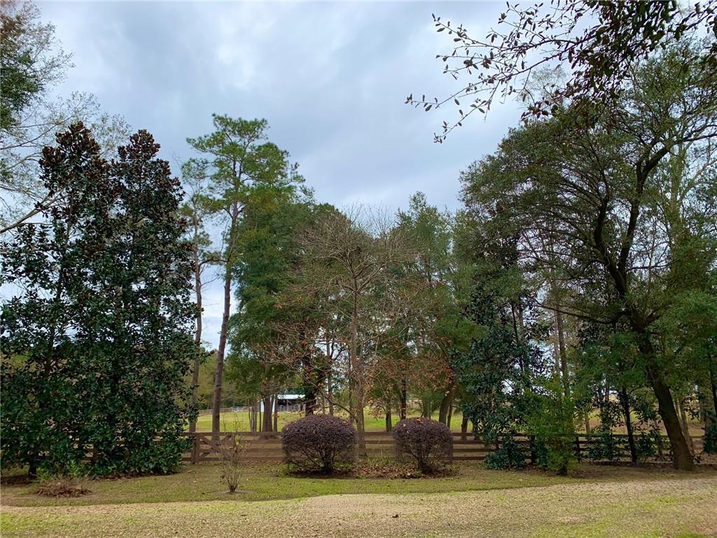 11276 Damiano Road Folsom, LA 70437 - Photo 19 of 21 Gallery Image 19