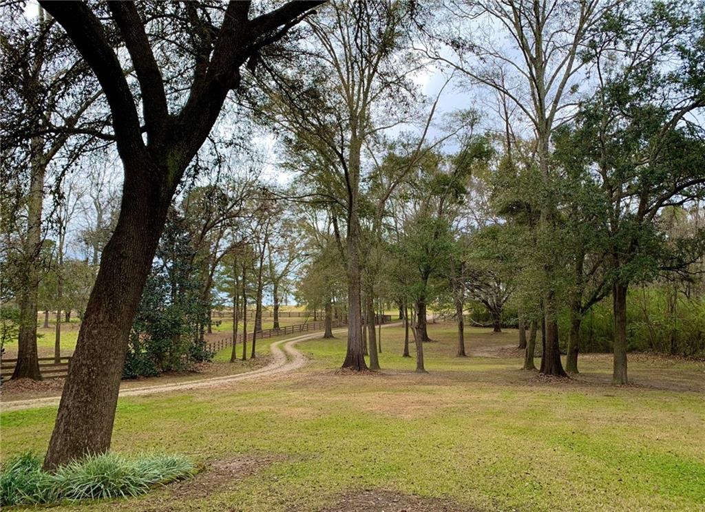 11276 Damiano Road Folsom, LA 70437 - Photo 20 of 21 Gallery Image 20