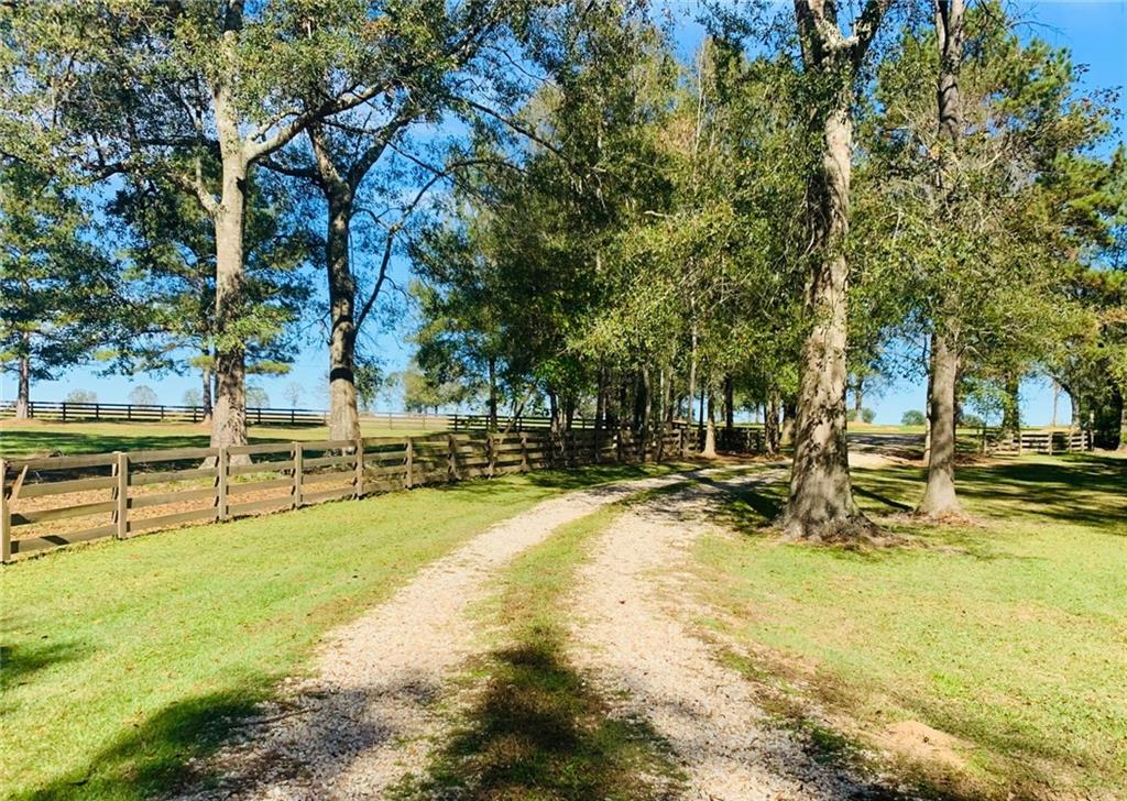 11276 Damiano Road Folsom, LA 70437 - Photo 2 of 21 Gallery Image 2