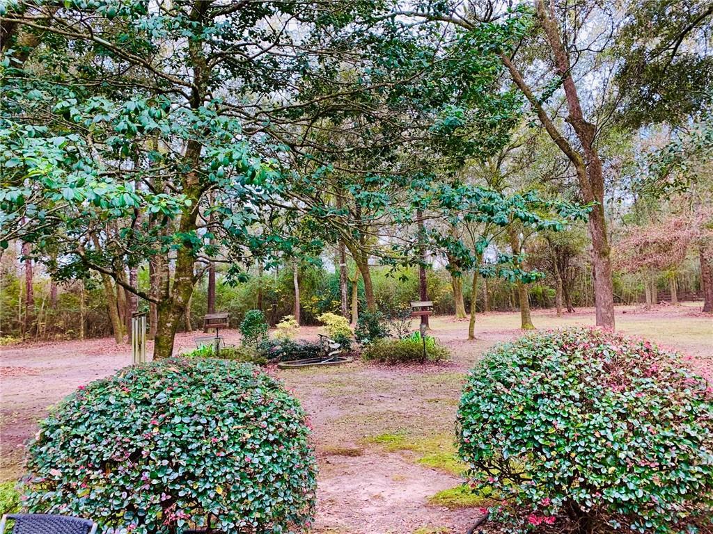 11276 Damiano Road Folsom, LA 70437 - Photo 4 of 21 Gallery Image 4