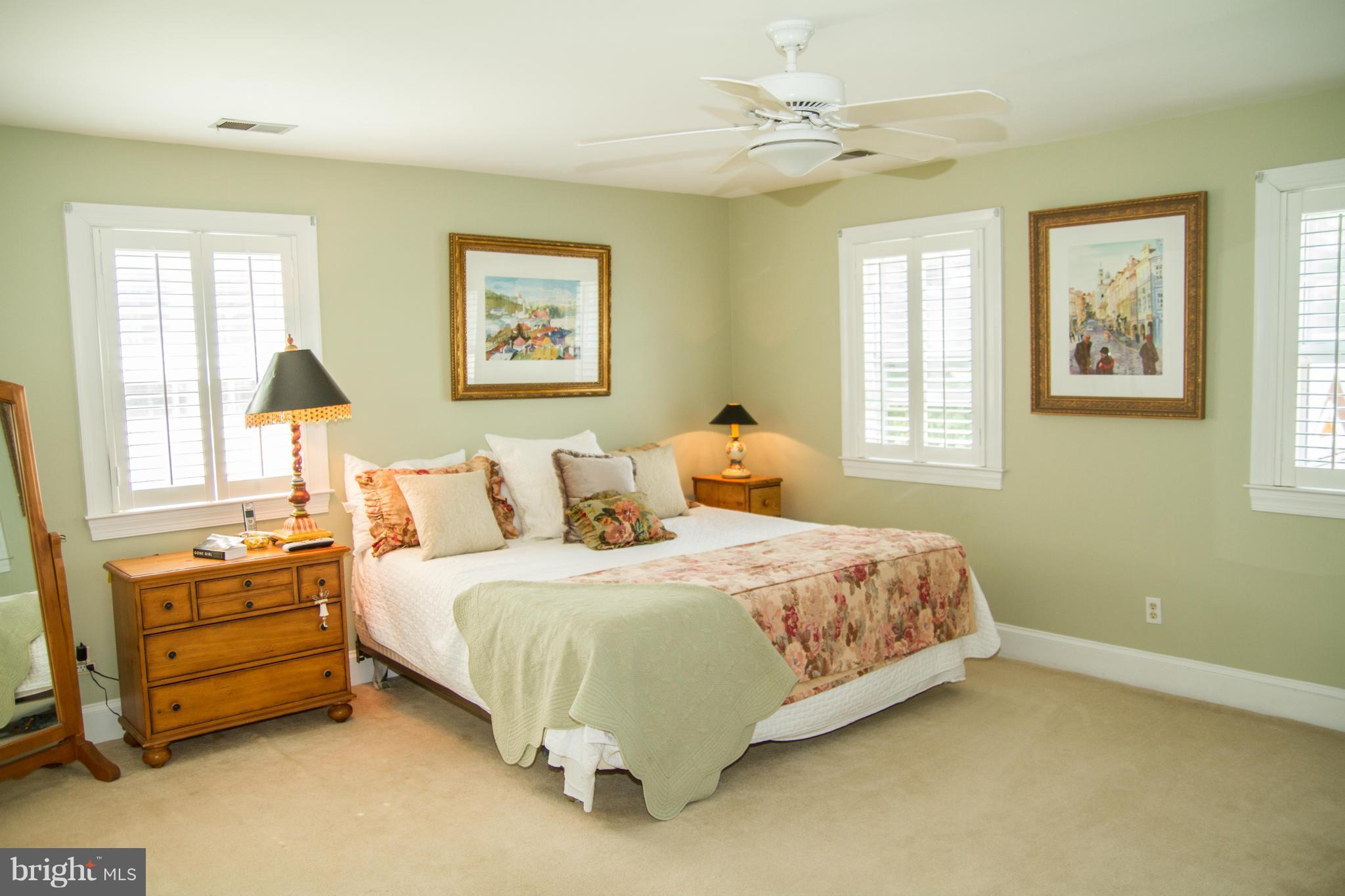 21197 St Louis Road Middleburg, VA 20117 - Photo 17 of 30 Bedroom (Master)