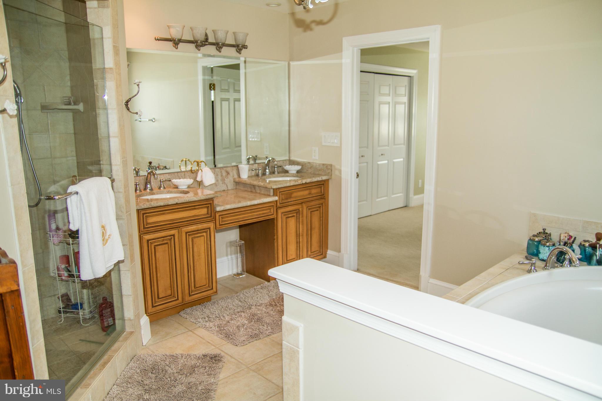 21197 St Louis Road Middleburg, VA 20117 - Photo 18 of 30 Bath (Master)