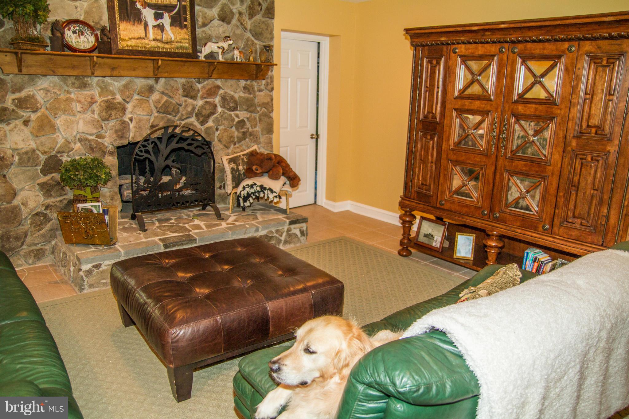 21197 St Louis Road Middleburg, VA 20117 - Photo 22 of 30 Basement