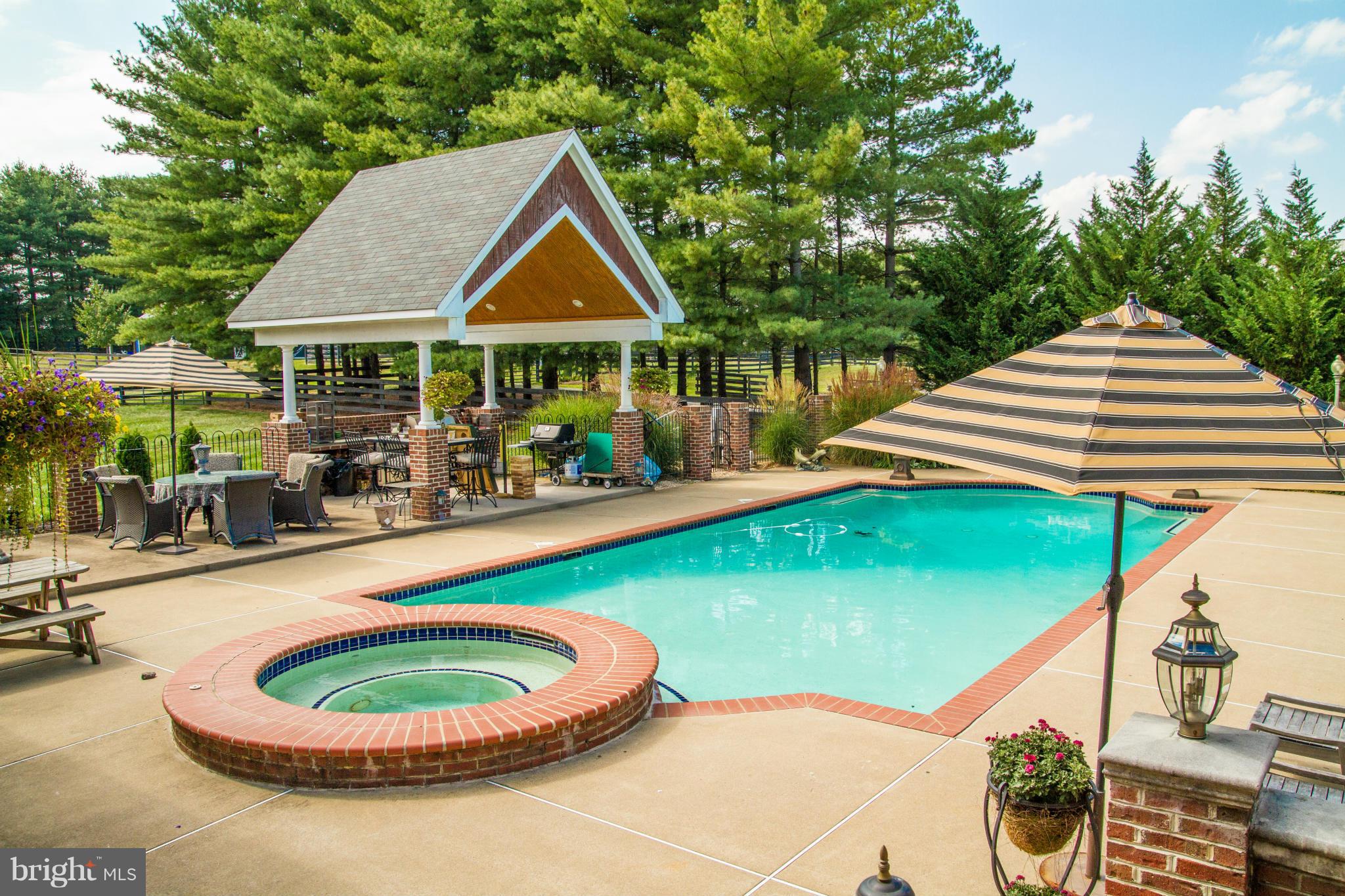 21197 St Louis Road Middleburg, VA 20117 - Photo 4 of 30 Pool
