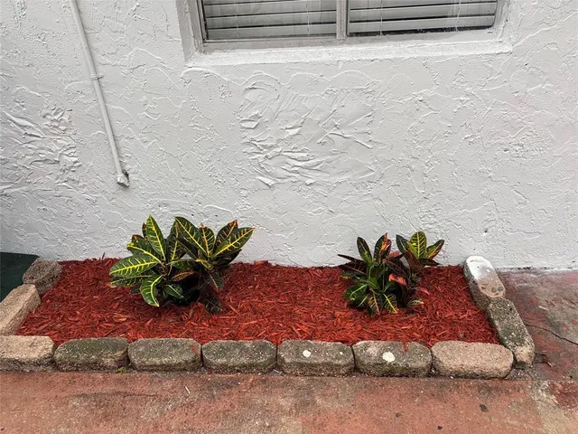 a view of a flower pot