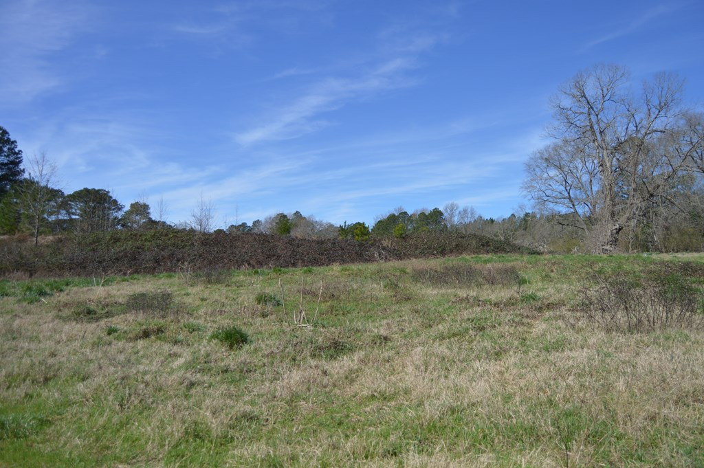 0 Mayo Road Ridge Spring, SC 29129 - Photo 3 of 14