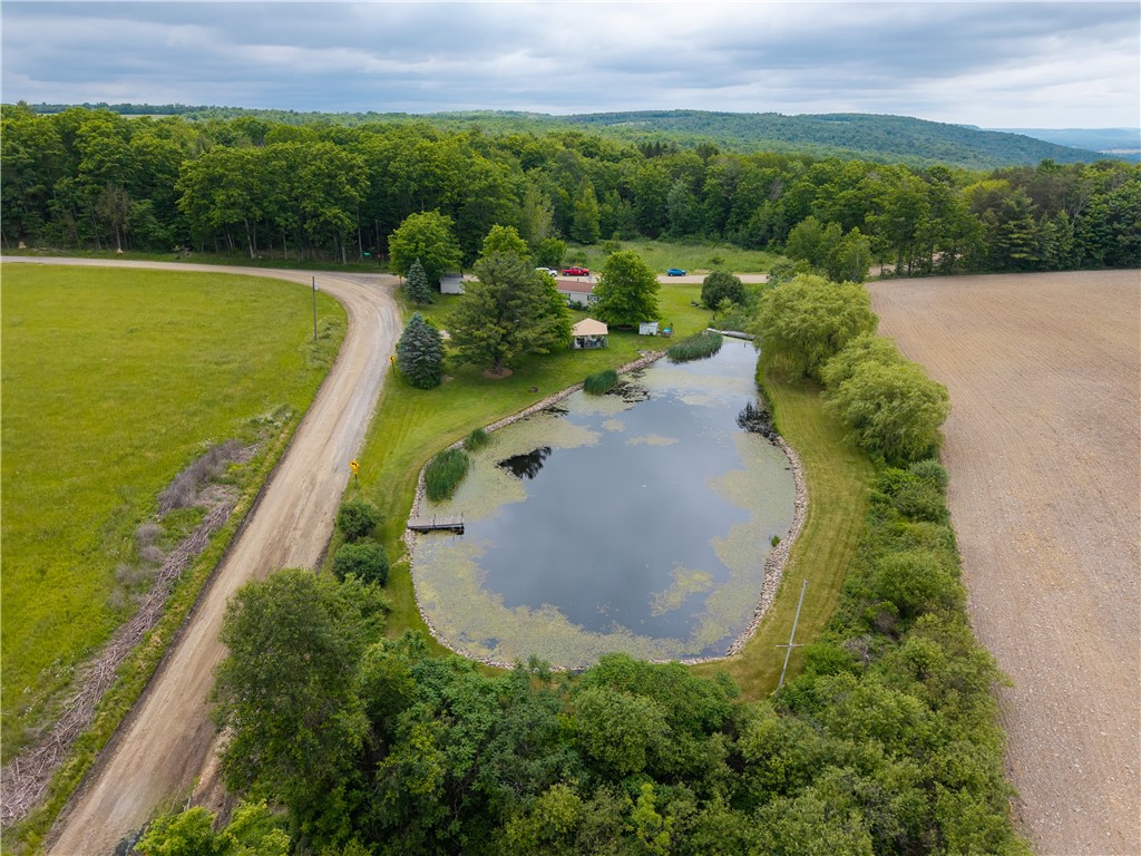 7551 Dee Road Thurston, NY 14821 - Photo 16 of 50