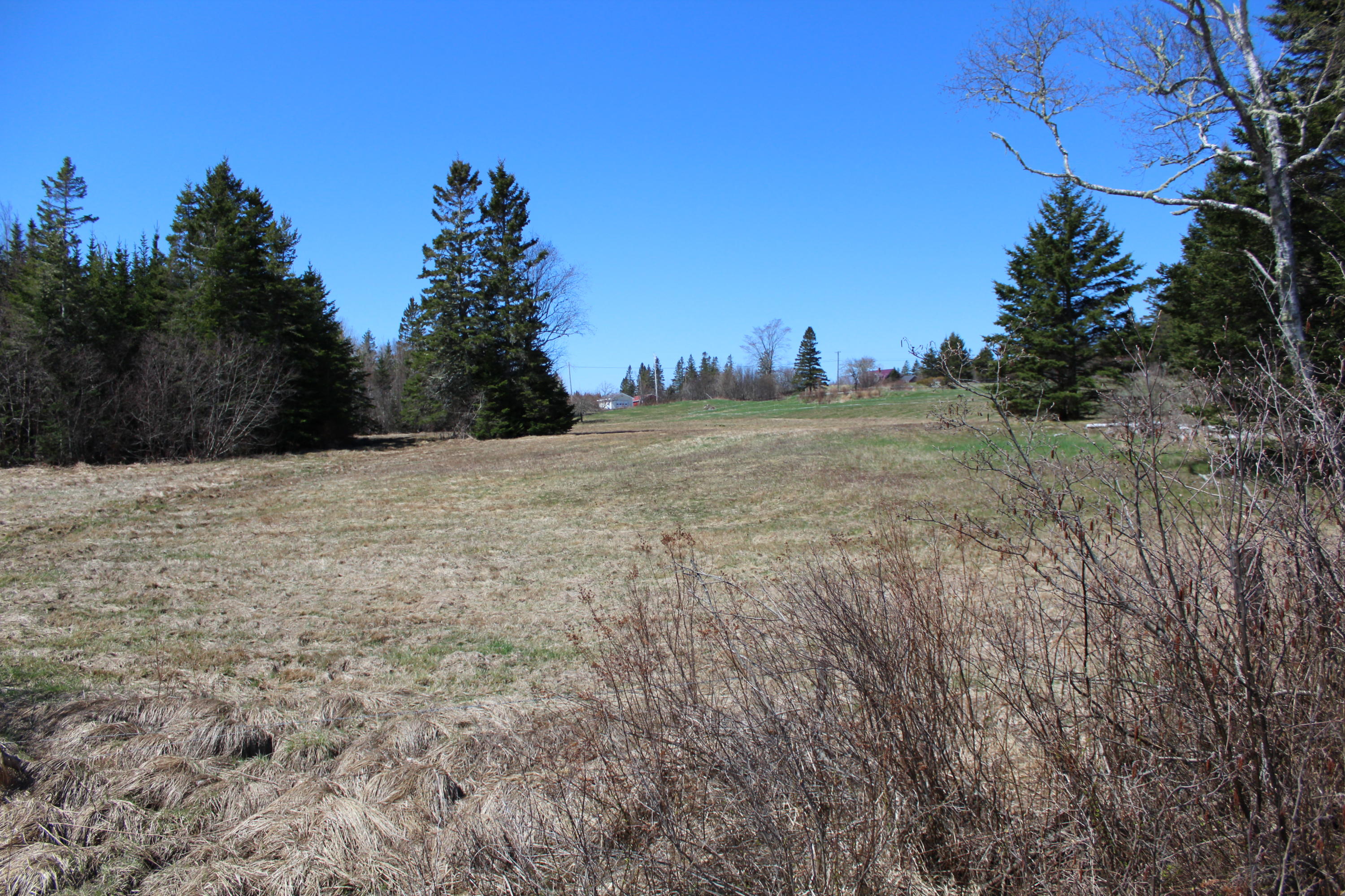 0 Old Eastport Road Perry, ME 04667 - Photo 17 of 25 IMG_3493