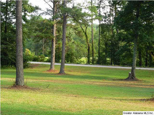 140 Renfroe Road Talladega, AL 35160 - Photo 28 of 32
