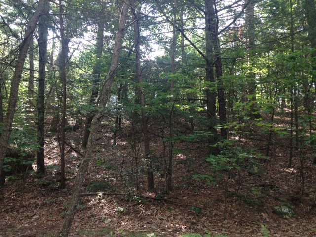Tbd Rooster Ridge Lane Dayton, VA 22821 - Photo 1 of 1 Gallery Image 1