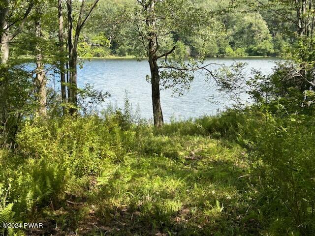 Lot R-c2 Spruce Lake Road Thompson, PA 18465 - Photo 18 of 20