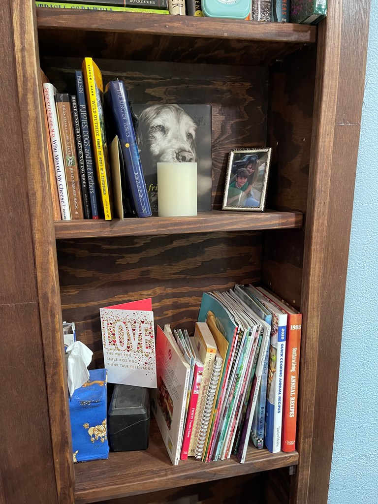 313 Elm Pass II Road East Center Point, TX 78010 - Photo 16 of 37 a view of storage and utility room