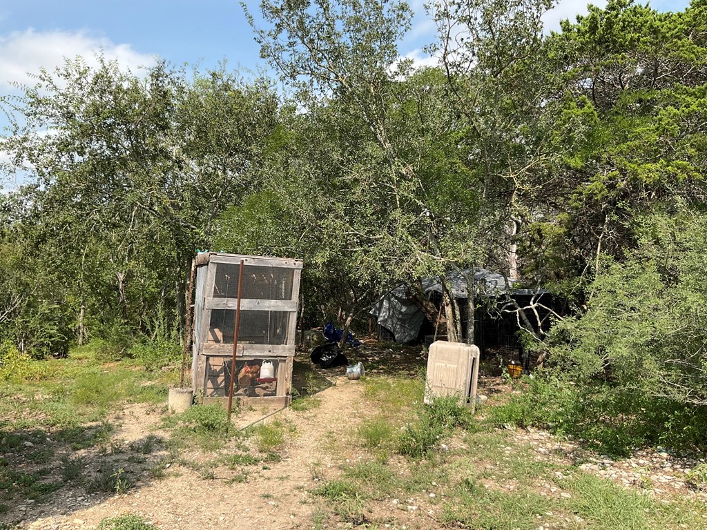 313 Elm Pass II Road East Center Point, TX 78010 - Photo 25 of 37 a view of a two chairs in the backyard of a house