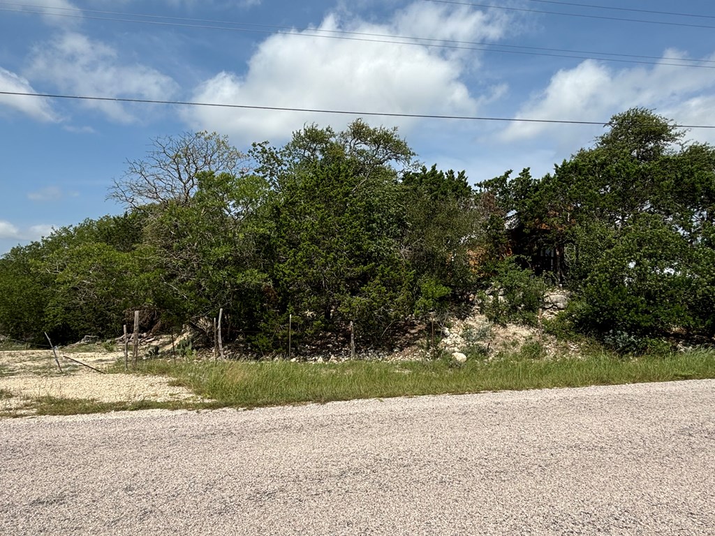 313 Elm Pass II Road East Center Point, TX 78010 - Photo 26 of 37 a view of a yard