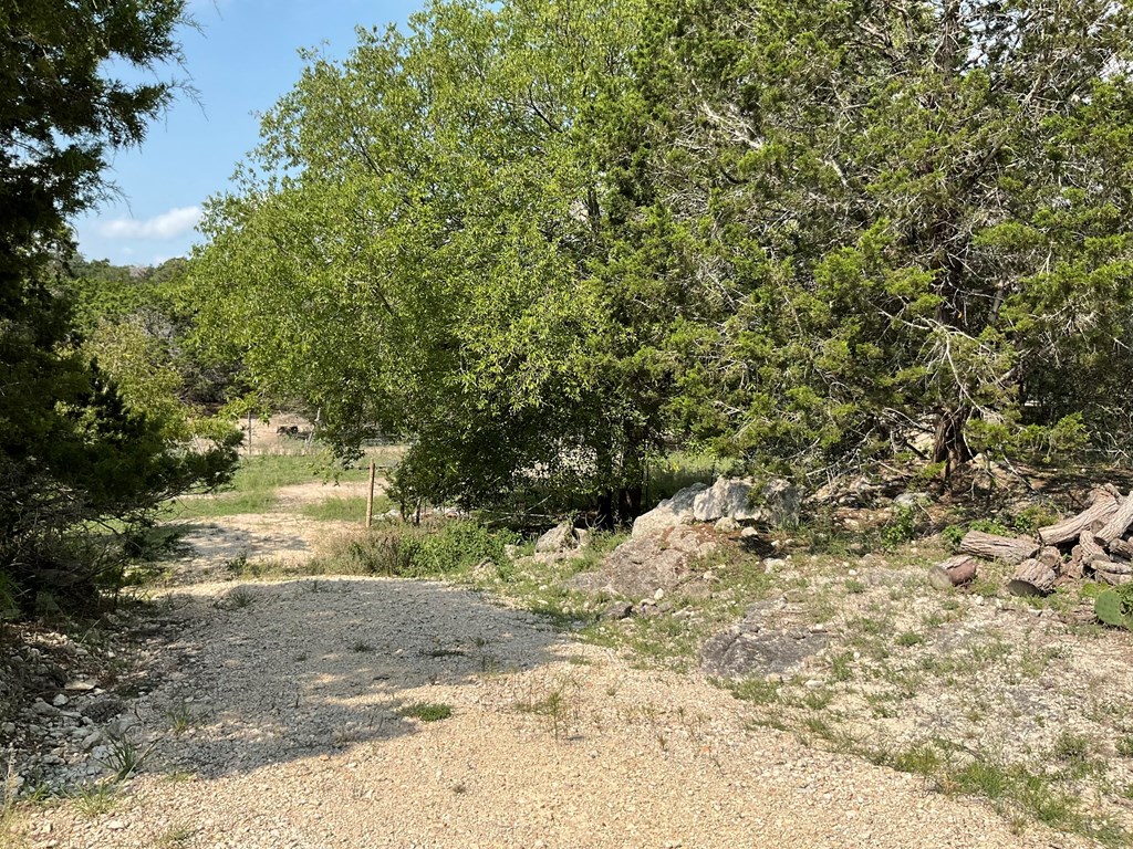 313 Elm Pass II Road East Center Point, TX 78010 - Photo 27 of 37 a view of a yard with plants and trees