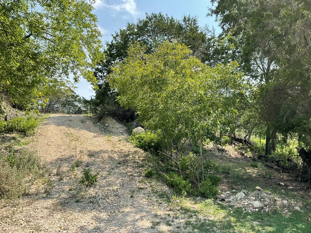 313 Elm Pass II Road East Center Point, TX 78010 - Photo 28 of 37