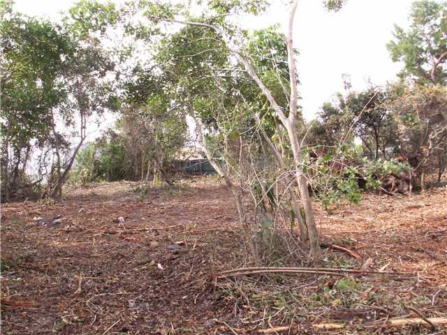 0 Southeast Lyons Road Hobe Sound, FL 33455 - Photo 6 of 10 Gallery Image 6