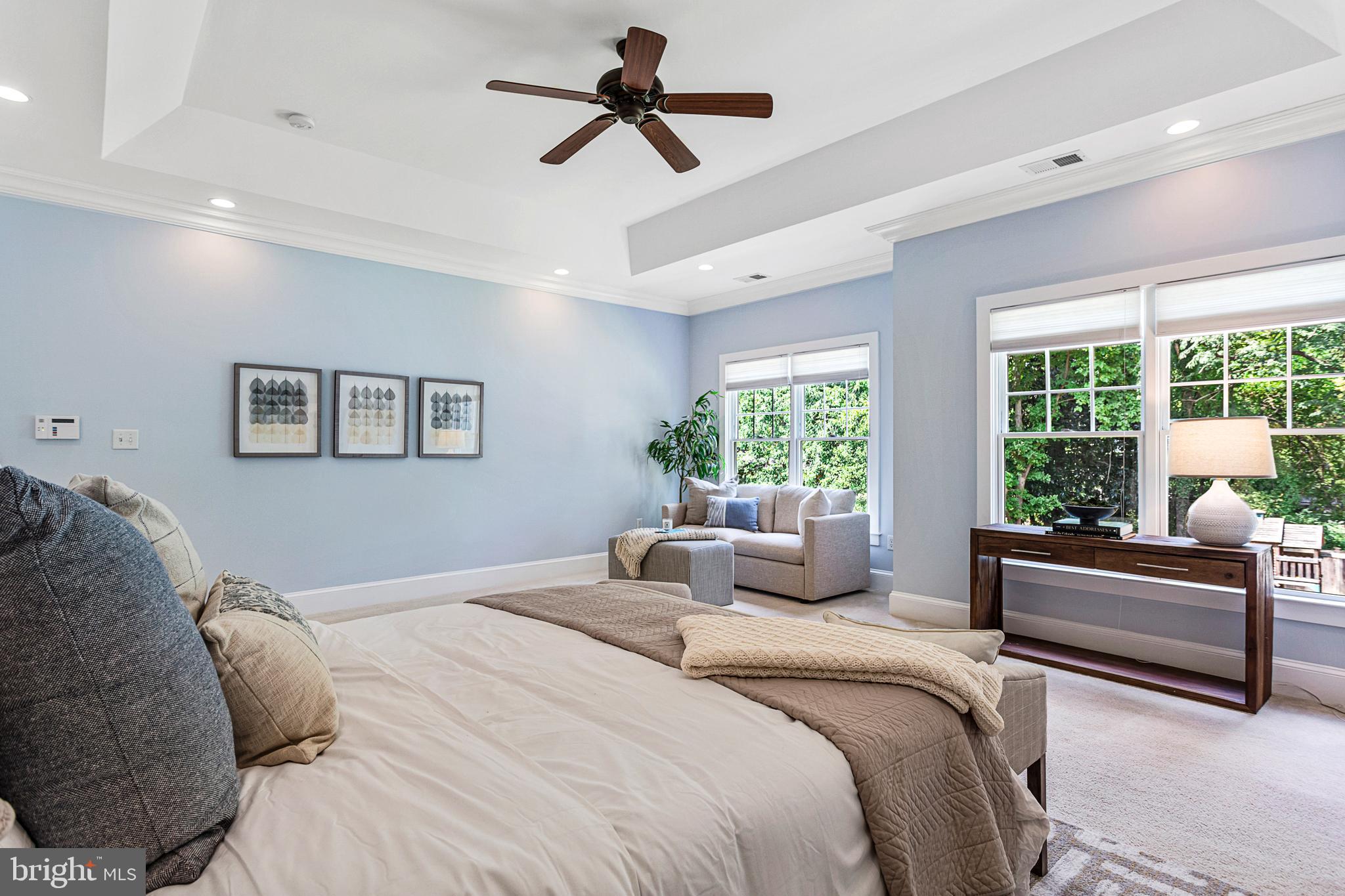9635 Elrod Road Kensington, MD 20895 - Photo 37 of 68 Tray ceiling detail