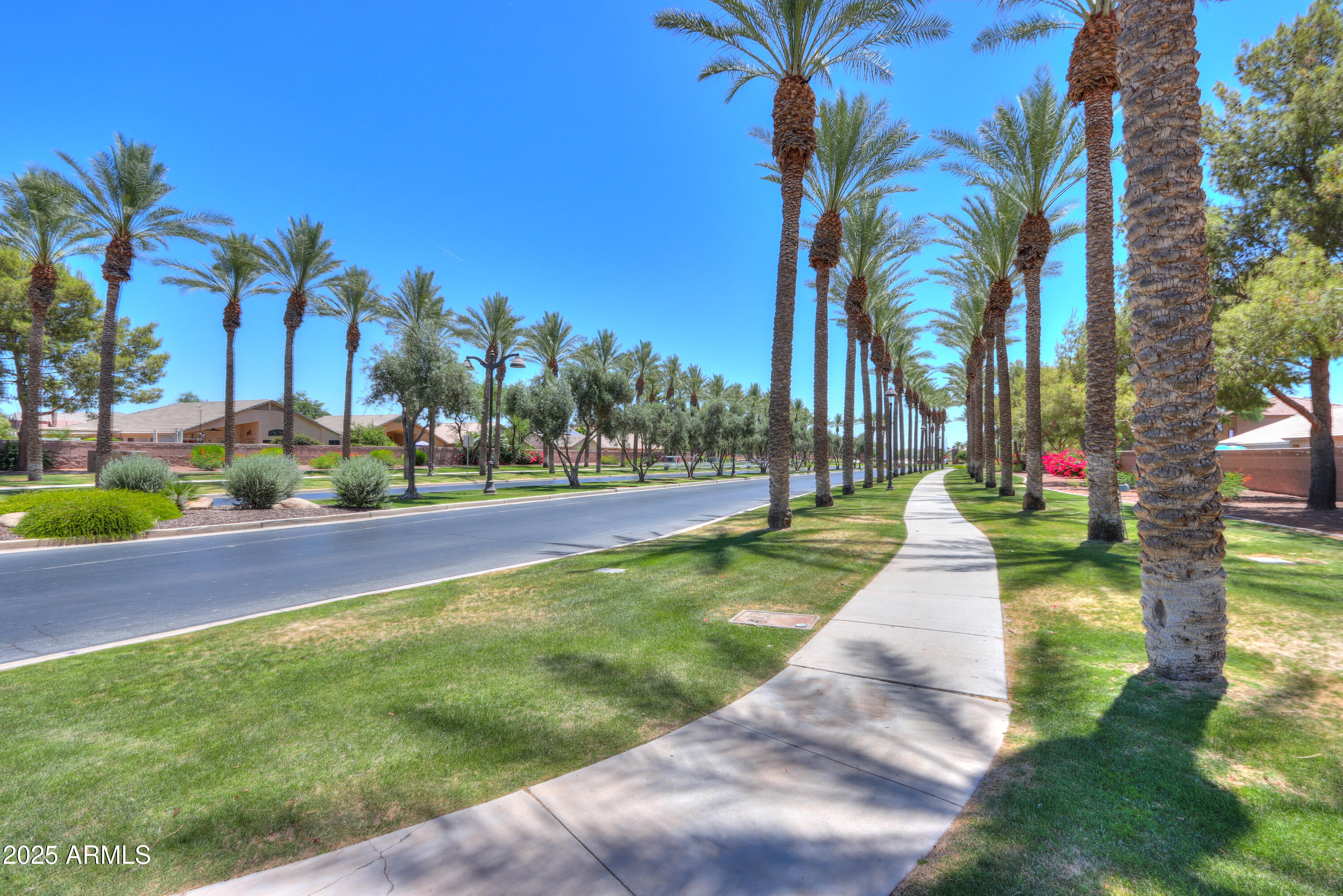 43223 West Venture Road Maricopa, AZ 85138 - Photo 64 of 70 rancho02